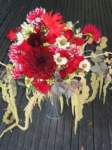 Photo Number 11